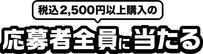 税込2,500円以上購入の応募者全員に当たる