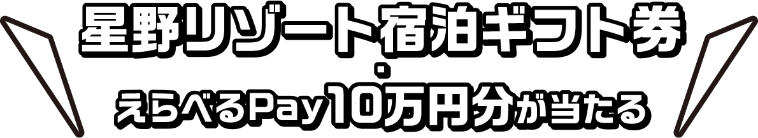 星野リゾート宿泊ギフト券・えらべるPay　10円分が当たる