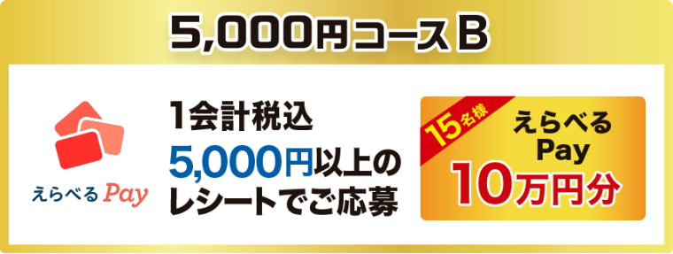 5,000円コースB 1会計税込5,000円以上のレシートでご応募 15名様 えらべるPay 10万円分